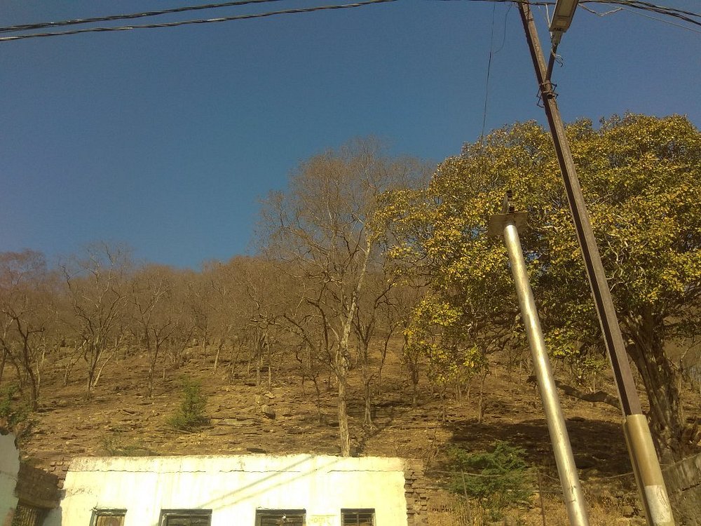 Kamdgiri Parikrama