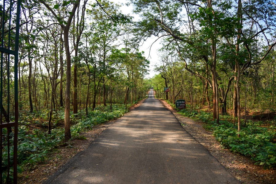 Chandraprabha Forest